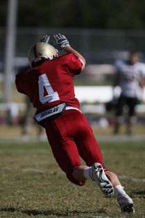 详细阅读:袋鼠队以全面防守为基础,确保进攻效率,袋鼠选手 袋鼠队以全面防守为基础,确保进攻效率,袋鼠选手